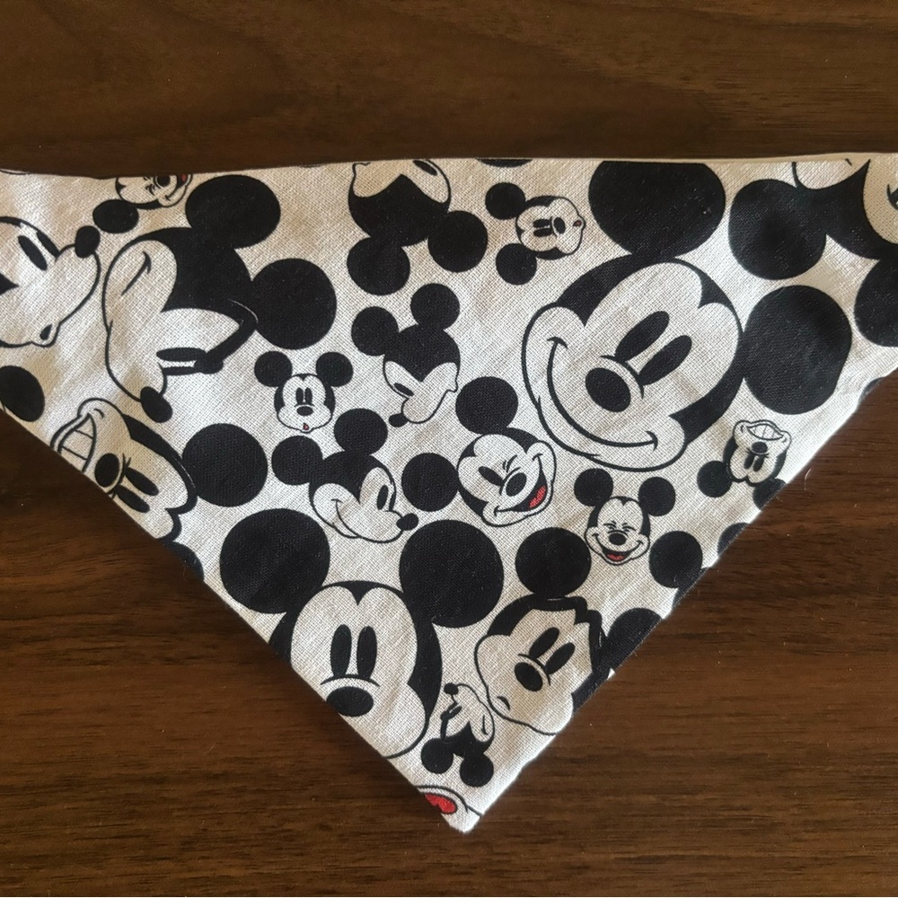 Over the collar dog bandanna.